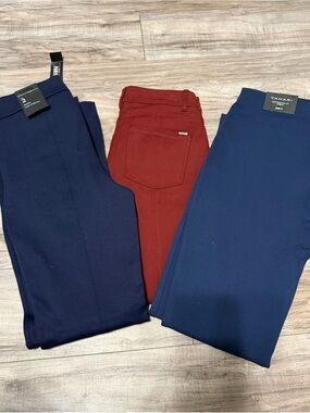 White House Black Market and Tahiti Navy and Burgundy Skinny Pants Trio